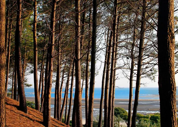 Daire T3 76m² Avec Terrasse, Balcon, A 100m De La D'eyrac, Parking Et Wifi - Fr-1-420-154 Arcachon