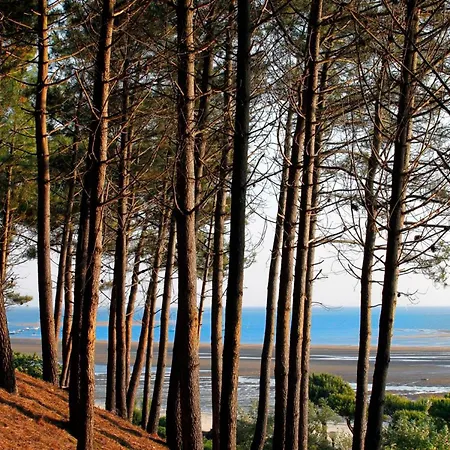 Apartmán T3 76m² Avec Terrasse, Balcon, A 100m De La D'eyrac, Parking Et Wifi - Fr-1-420-154 Arcachon